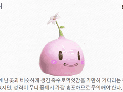 라이자_꽃푸니