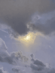 그냥하는얘기들 