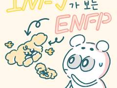 Infj가 보는 enfp