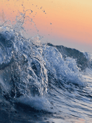 어쩌다 뜬 별의 우주