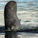 대연이행복하대연