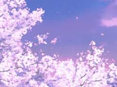 흐트러지는 봄의 그림자야