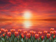 𝙱𝚞𝚝𝚝𝚎𝚛𝚏𝚕𝚢 𝚏𝚕𝚒𝚎𝚜 𝚏𝚛𝚎𝚎𝚕𝚢 𝚝𝚘𝚍𝚊𝚢, 𝚝𝚘𝚘