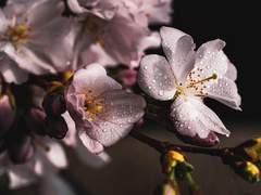 유안 /xy/ 19/ 미술부