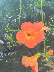 안녕 나의 소울메이트