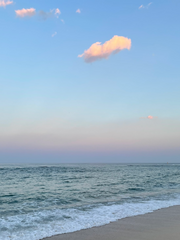 청춘의 한복판에 서서