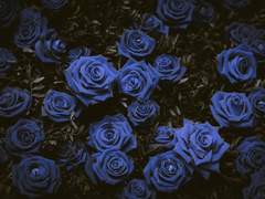 공개 프로필ㅣHestia P. ReinhardtㅣXXㅣPBㅣS