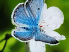 당신이 없는 세상