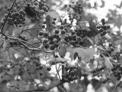 흑백 세상 속..너라는 아름다운 色