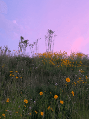 눈동자가 머무는 순간