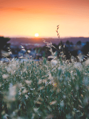 뮹의 사진 뭉치