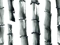 Love For Ruined One 10