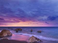 다음 생에도 우리는 함께 내일을 살아가길