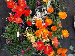 [단편모음]기차와 보름달