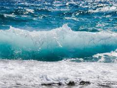 혼자서도 할 수 있다고