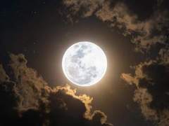 고통은 나누면 반이 된다 II