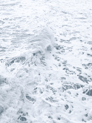 이별 관찰 일지 <𝒐𝒏𝒆>