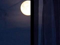 🌙언뜻 보인 달