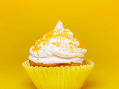 물빛, 해바라기, 꽃잎 -01