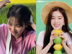 농활에서 생긴 일