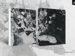 [레디메이드] #168 은하의 무덤 | 분양 완료