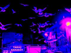 본부는 응답하라