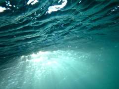 설사 그것이 아무런 의미없는 동정이라고 하더라도,