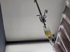 카피페 업로드 공지