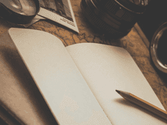 검은 장미는 피로 물들여 정열을 피워