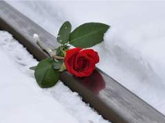 [타마소우] 입김