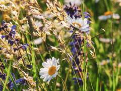 [ 오 유월 & XX & 17 ]