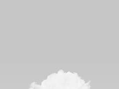 에이플러스 부록 | TMI [소장본 수록]