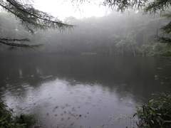 전쟁터에서 살아남는 유일한 방법