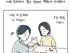 나의 완벽한 동반자