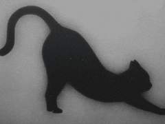 열리지 않는 문