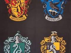 여자친구, 호그와트