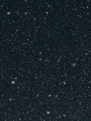 내니, 조이 그레이스, [ ]