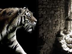 [깜방일기]죄수별곡 : 41.방장과 배식반장