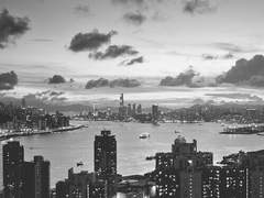 순장과 용기, 그리고 나의 클라라