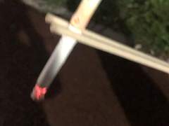 지극히 주관적인 담배 추천글