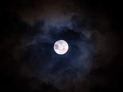 [희신강징] 月亮