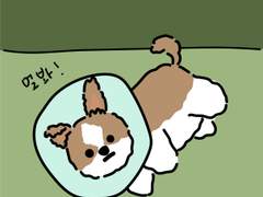 [굿노트] 반려견 메모지 무료 공유(그리드, 줄글)