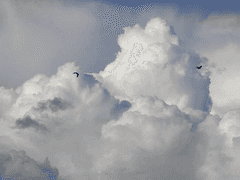 사사사살려주세요...!!!!!