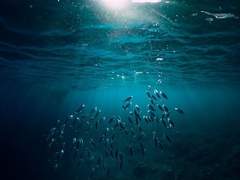 지금 하는 행위를 "예술작품"이라 하는 사람을?