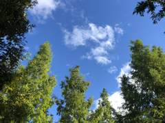 다시 만난 여름