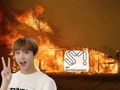 엔시티 나페스 추천