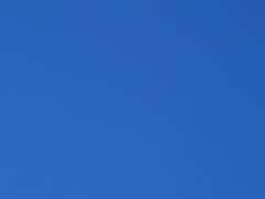 2. 침잠의 계절, 살아 있는 모든 것들은 울기 시작한다