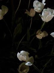 NCT DAILY Official Youtube