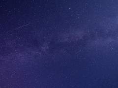 중혁독자(그분걔) / ‘유중혁’의 평범한 생일