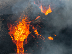 브로콜리왼 사카른 썰 백업 1